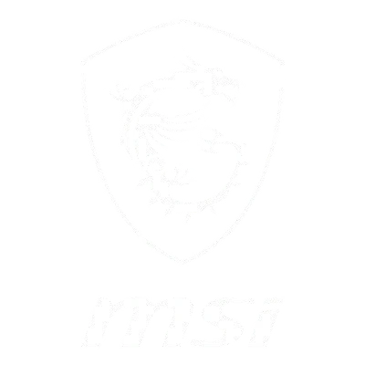MSI logo 2